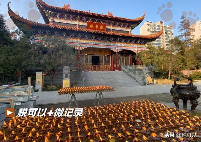 成都近慈寺：被时光淹没的一段传奇！