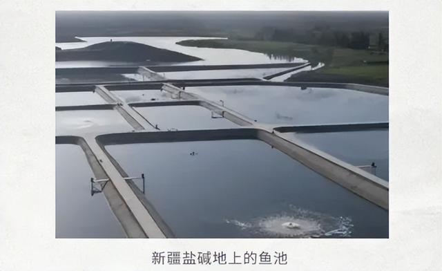 为什么在胖东来，能看到很多背着登山包的人？