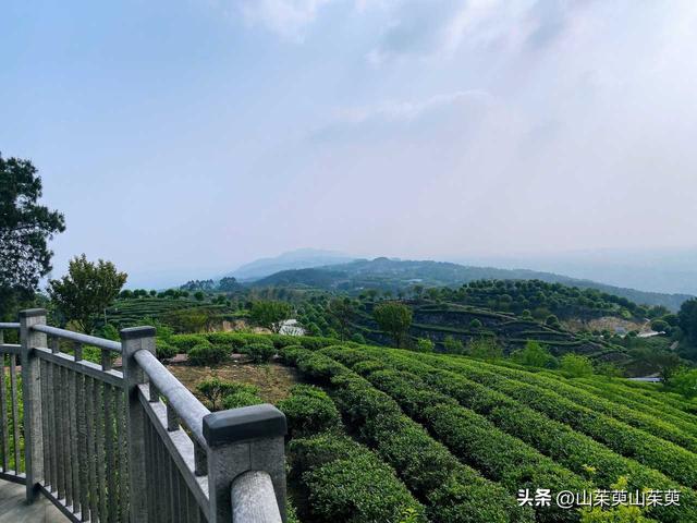 2023年春重庆探亲游（上篇）