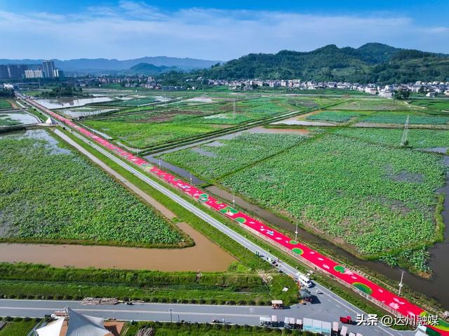沿途皆景，一路生“花”!这里就是······