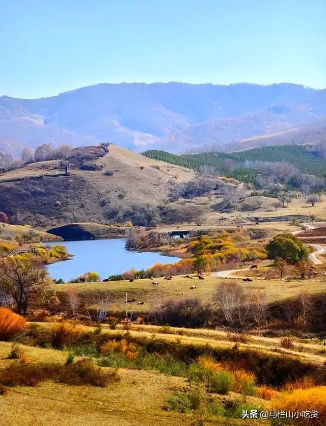 内蒙古旅游，草原美景乌兰布统打卡攻略！