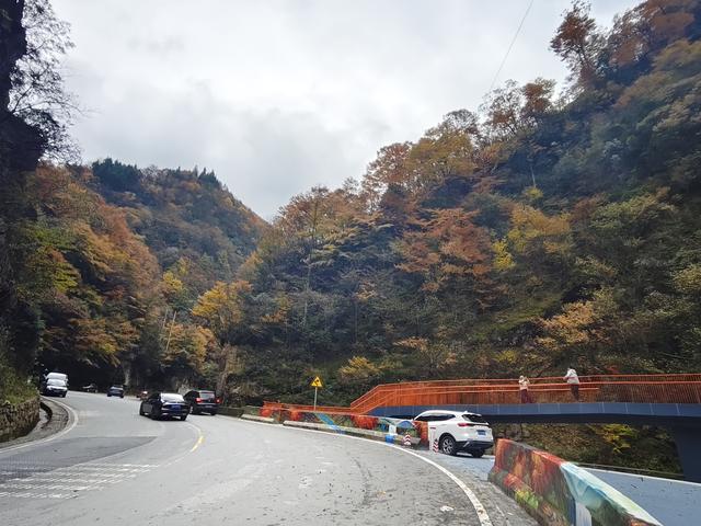 南行漫记：汉中南郑区到巴中恩阳区，9小时233公里的行走路书