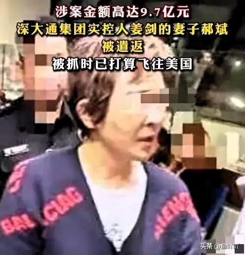 又揪出来一个巨贪，金额高达9.7亿，首富夫人郝斌跨境逃亡失败了