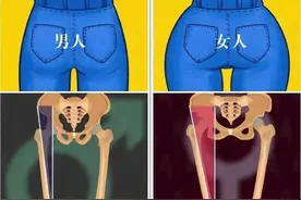 男生和女生的身体到底有啥区别？图片