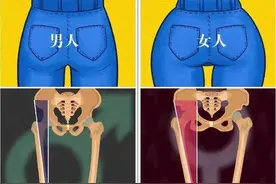 男生和女生的身体到底有啥区别？图片