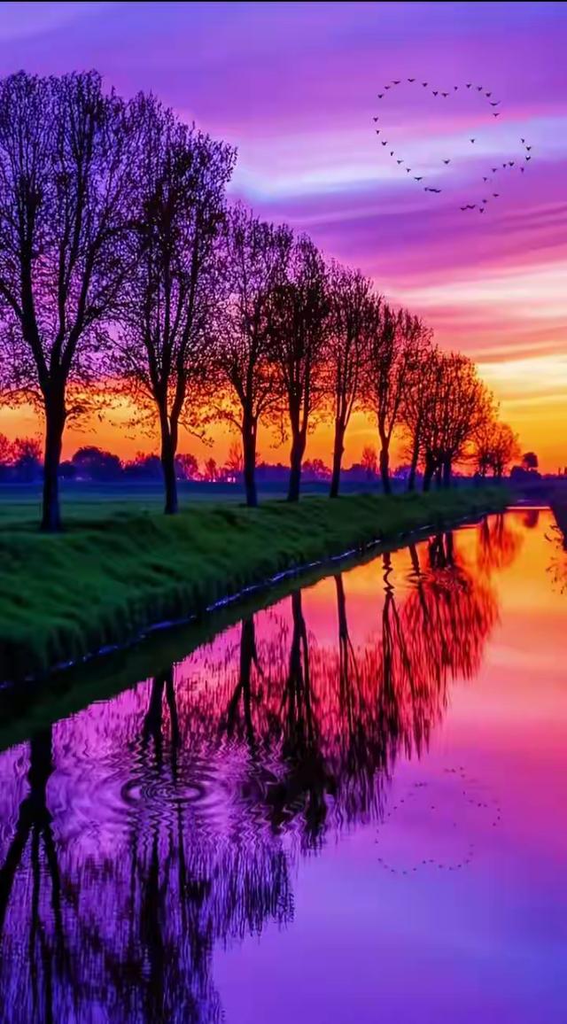 最有意境的壁纸美图