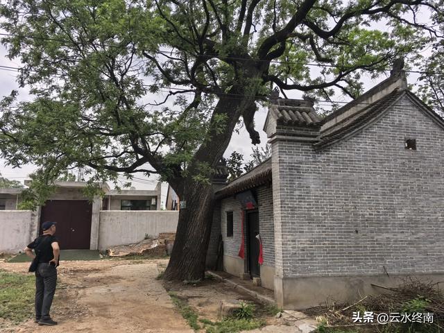 蓝田这村子人才济济，当朝正三品官员都不算啥，有传承就是不一样