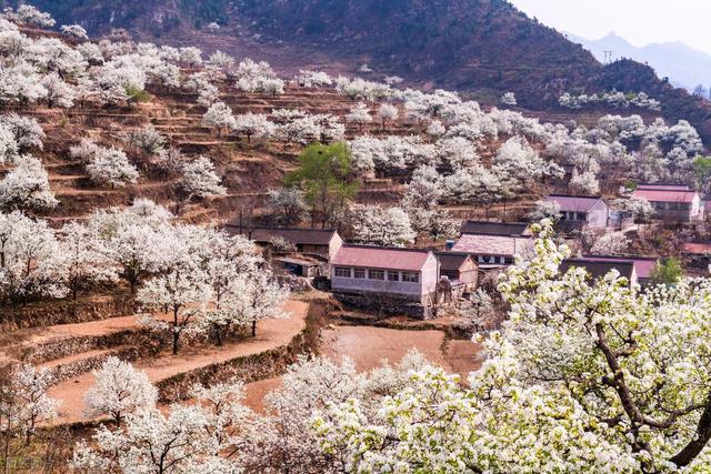 青龙满族自治县：燕山深处的生态秘境，满乡风情的热土。游河北