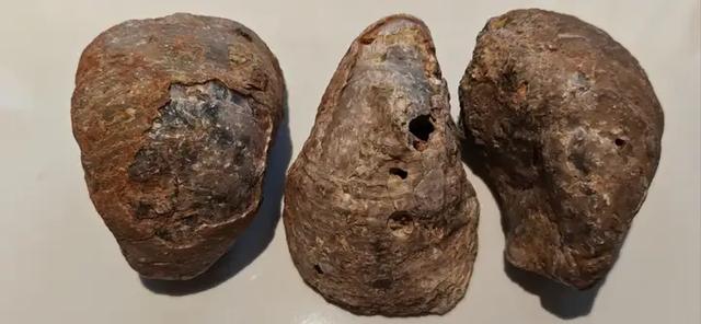 新疆乌恰县贝壳山，满山的贝壳