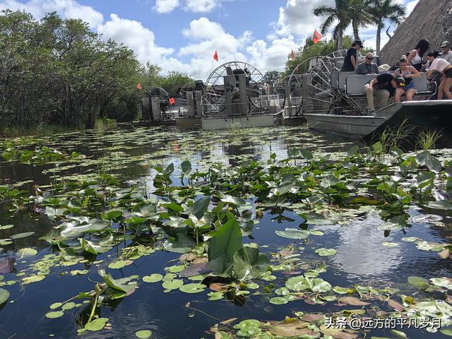 大沼泽地美国国家公园（迈阿密游记三）