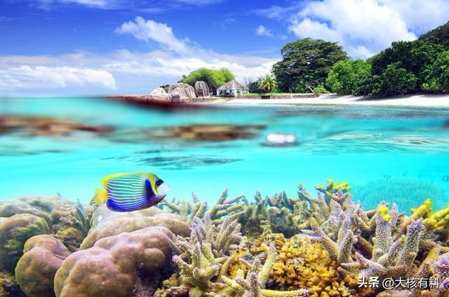 非洲富裕“岛国”：重视女子婚前贞操，普通酒店住一晚100多美元