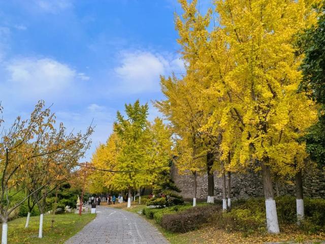 快来打卡！襄城这几地方的秋色太美了……