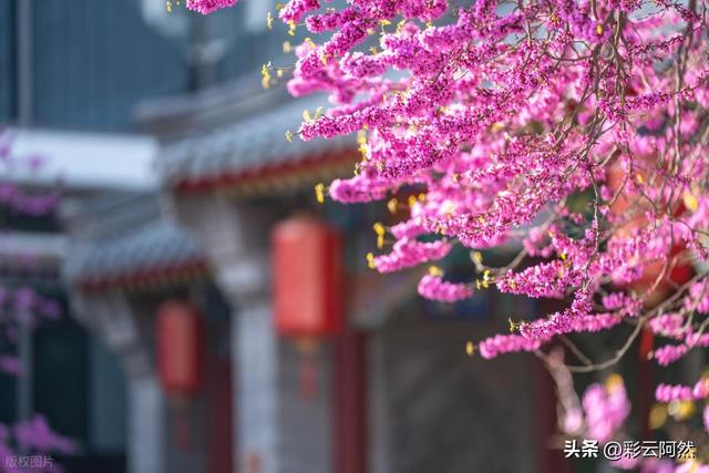 大范围冷空气来袭！多地降温超10℃，明日9月16~17号强降水将展开