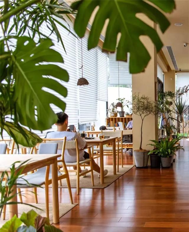 颜值拉满！洁白“雪乡”承包你的冬日梦境| 周末京郊微度假