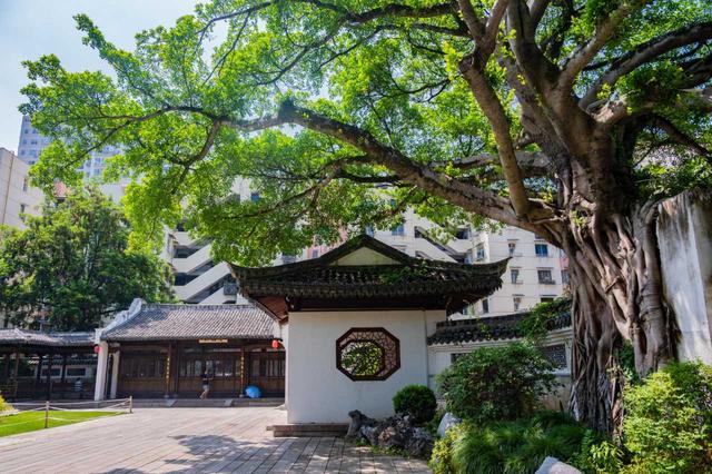 4天3晚自由行，感受温州的松弛与美好