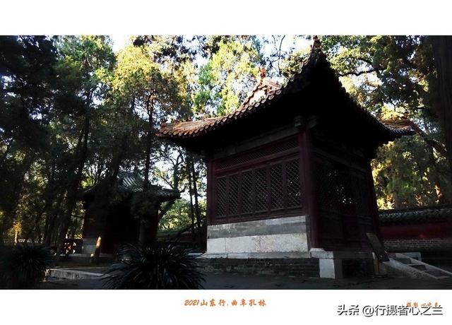 山东行游影记（228）—曲阜孔林（四）
