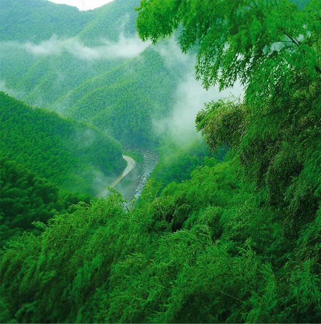 20年，更向青绿深处行