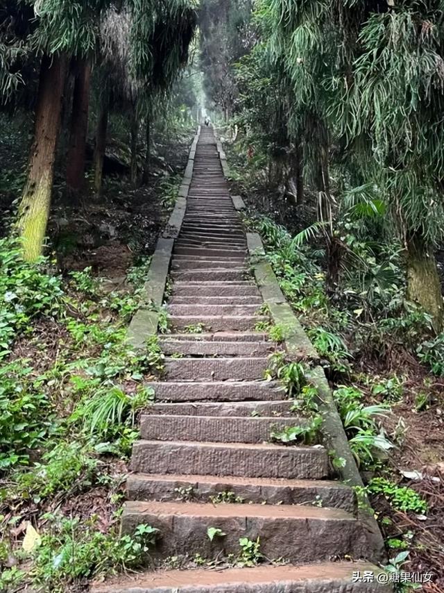 免费推荐！成都0.5h秋日免费打野攻略！摘柿子/板栗/八月瓜/野梨