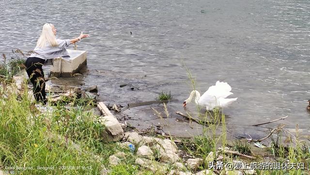 自由行第3天：贝尔格莱德一日游，印象最深的并不是景点