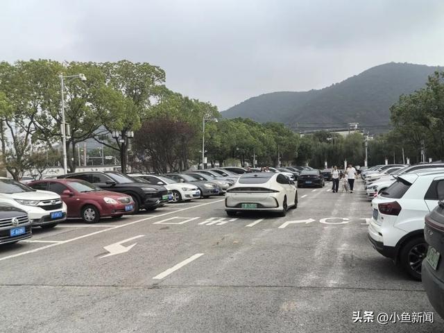 大批苏F大军涌入无锡！
