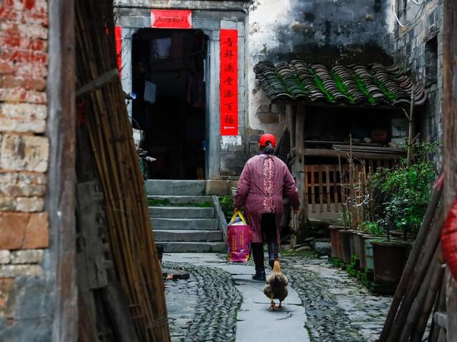 比起婺源，我更喜欢这个永久免费的仙气古镇，不是浮梁县衙！