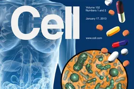 神奇的植物精油图片