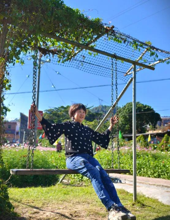 太美了!肇庆高要百亩菊花盛开