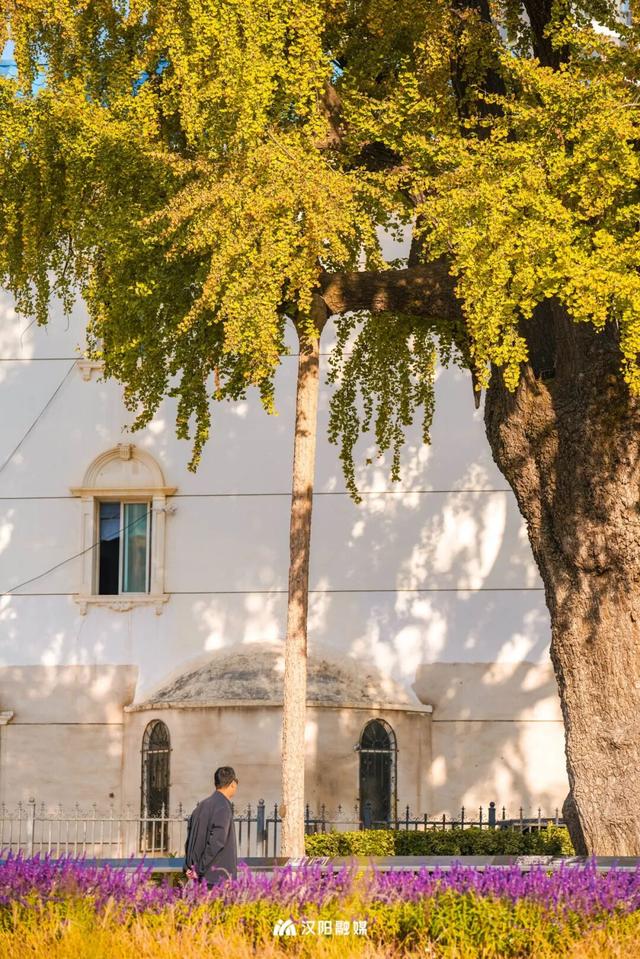 在汉阳的秋天，捡出一个灵感宝库