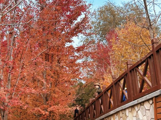 发现丰台之美 | 诗意北宫，醉美金秋