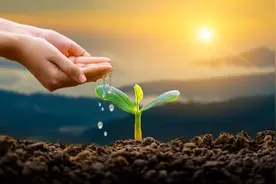 道生一 一生二 二生三 三生万物 能生万物的三究竟是何物图片