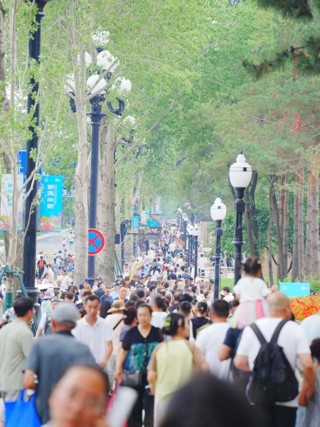 周末果断冲！新民市集“首秀”！街头音乐会·演艺·露天电影…全是爱看的