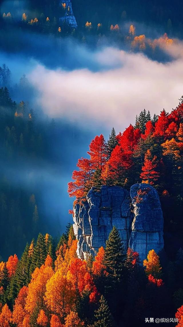 秋山泼彩如染，崖间枫红似火