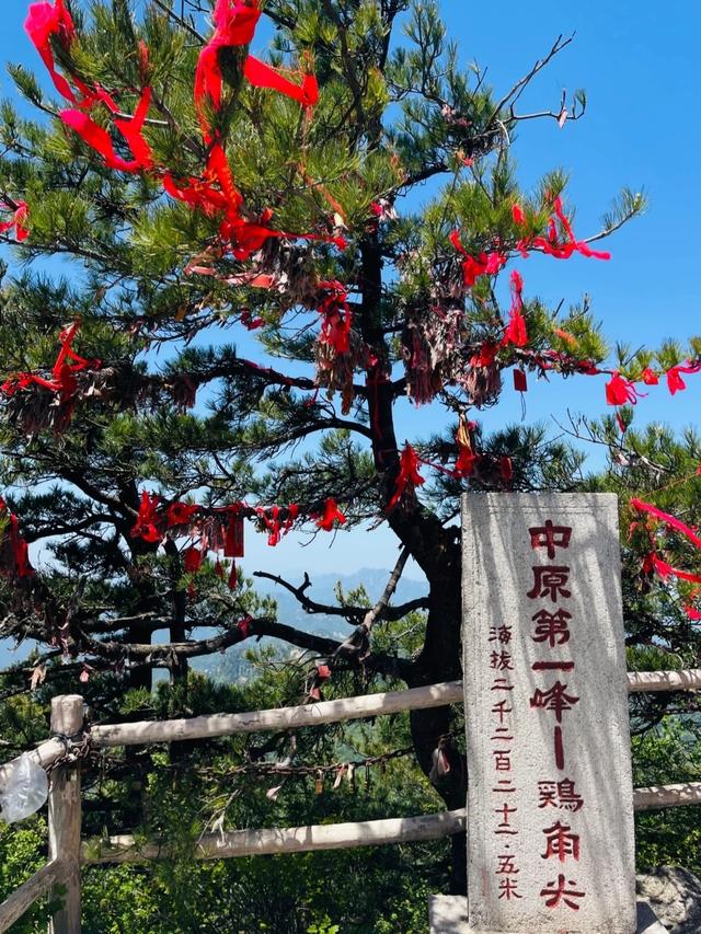 河南大变局！栾川突然爆红，河南西部市县集体看懵～