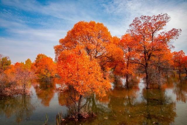 镀了金的新疆秋色，彩色绘就，五处秘境邂逅最诗意的天山南北