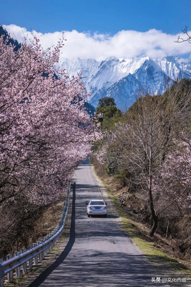 霸榜！西藏边城连续5年美出圈！