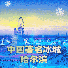 收藏！“约会哈尔滨 冰雪暖世界”冬季专属表情包上线了！