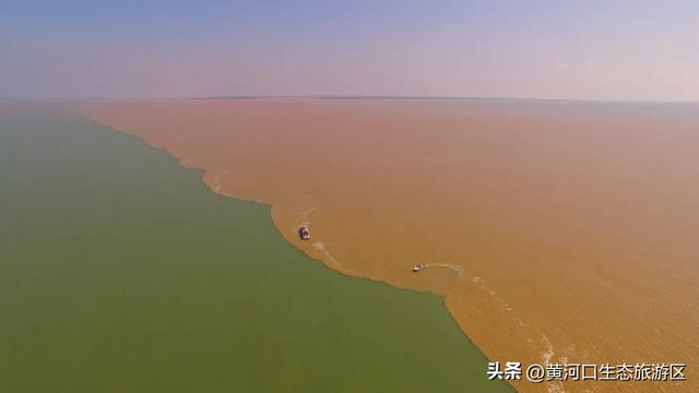 【黄河口生态旅游区】以湿地为笺，用候鸟作笔 —— 致教师的自然礼赞