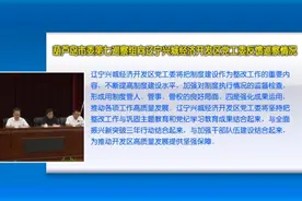 葫芦岛市委第七巡察组向辽宁兴城经济开发区党工委 菊花街道党工委 四家屯街道党工委反馈巡察情况图片