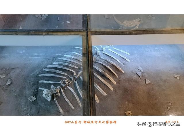 山东行游影记（270）—聊城中国运河文化博物馆（三）