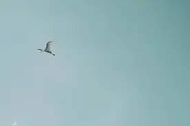 十步学会如何写出一篇火爆朋友圈的文章图片