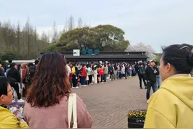 爆了！一早大排队！人山人海！无锡人都在…图片