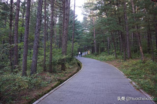 3200公里东北行（D2）——伊春北山公园