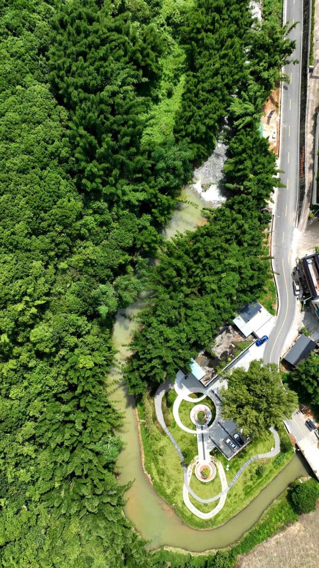 惠聚美好丨西溪驿站：晨兴半炷茗香处，山水乡情入茶来