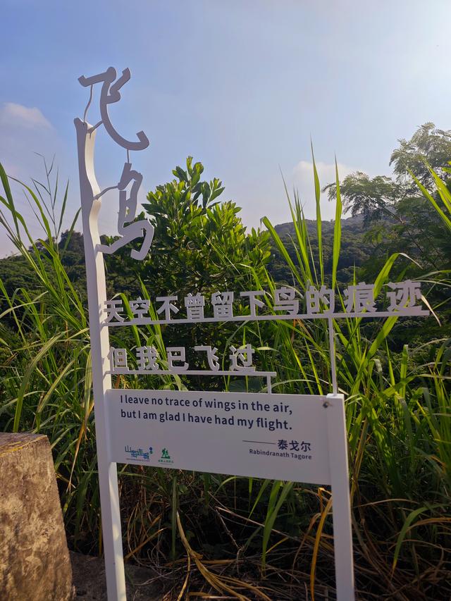 塘朗山郊野公园火车道口与绿平二路段，爬坡酸爽，骑友的天堂