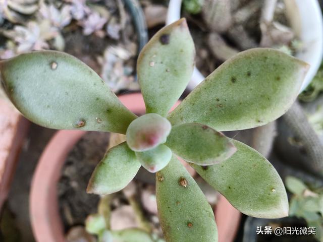 今天读了一篇文章，我终于知道钱是怎么来的。