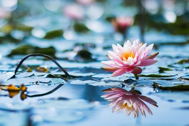 过了50岁，尽量不要让身边的亲人“借运”，避免让自己晚景凄凉