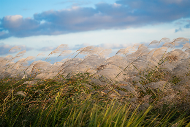 来东营，从从容容游刃有余！