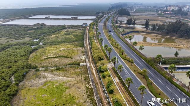 广西北海“十五五”规划：从“旅游城市”向“国际门户”蜕变蓝图