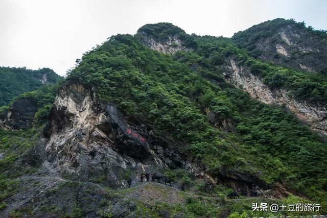 第46，甘南青海自驾游总结，说走就走的旅行，风景在路上