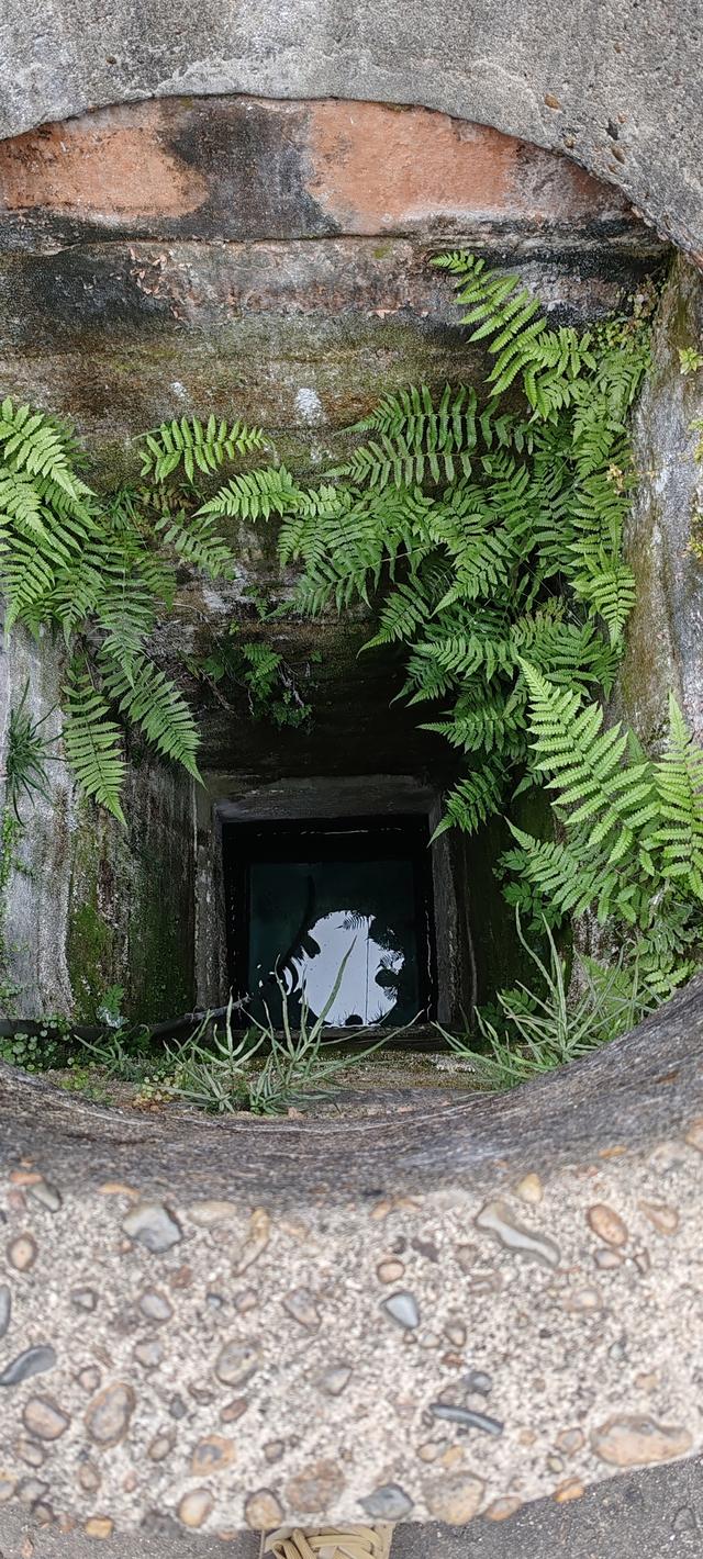 上饶河口古镇——信江润出的隐世璞玉